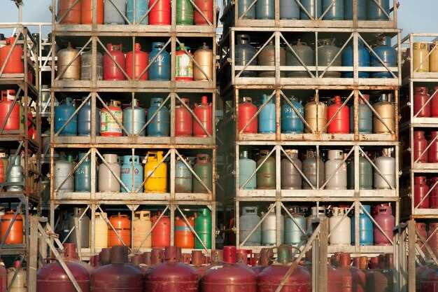 ¿Qué medidas concretas comprenden los compromisos de descarbonización y cómo se priorizan las acciones a corto plazo?