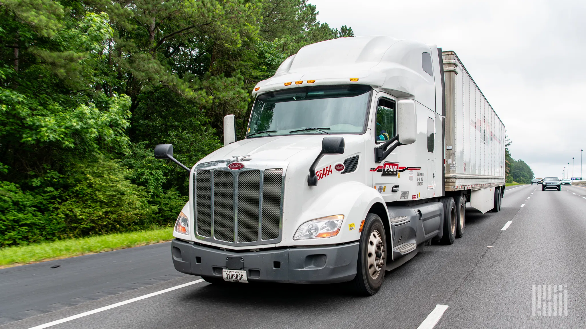 Pamt Corp Faces Leadership Transition Following Losses