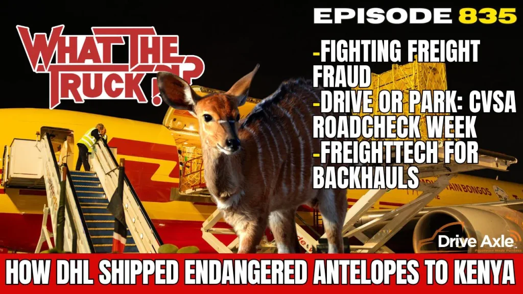 DHL Express Transports Endangered Antelopes to Kenya and Addresses Freight Challenges