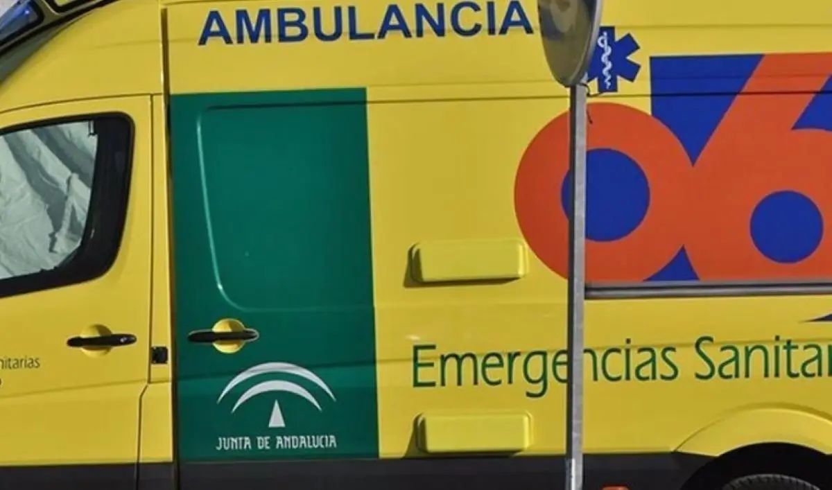 Truck driver’s fatal accident on the A-1101 in Almería