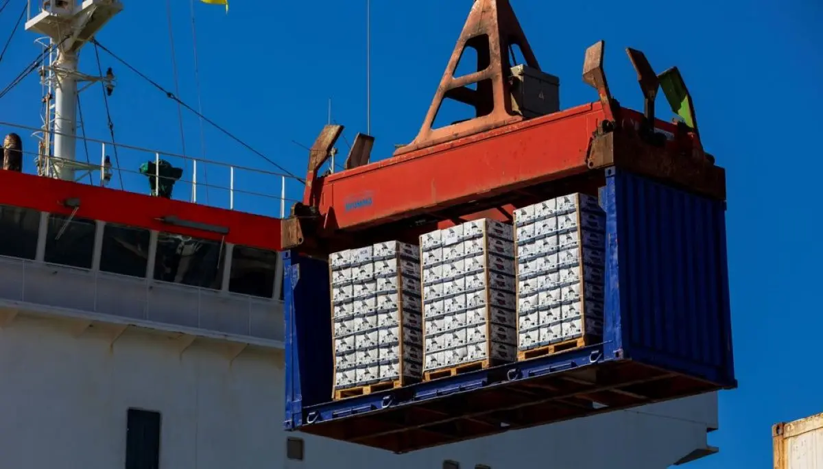 Navigating Challenges in International Transport: Insights from FETEIA-OLTRA’s Recent Meetings