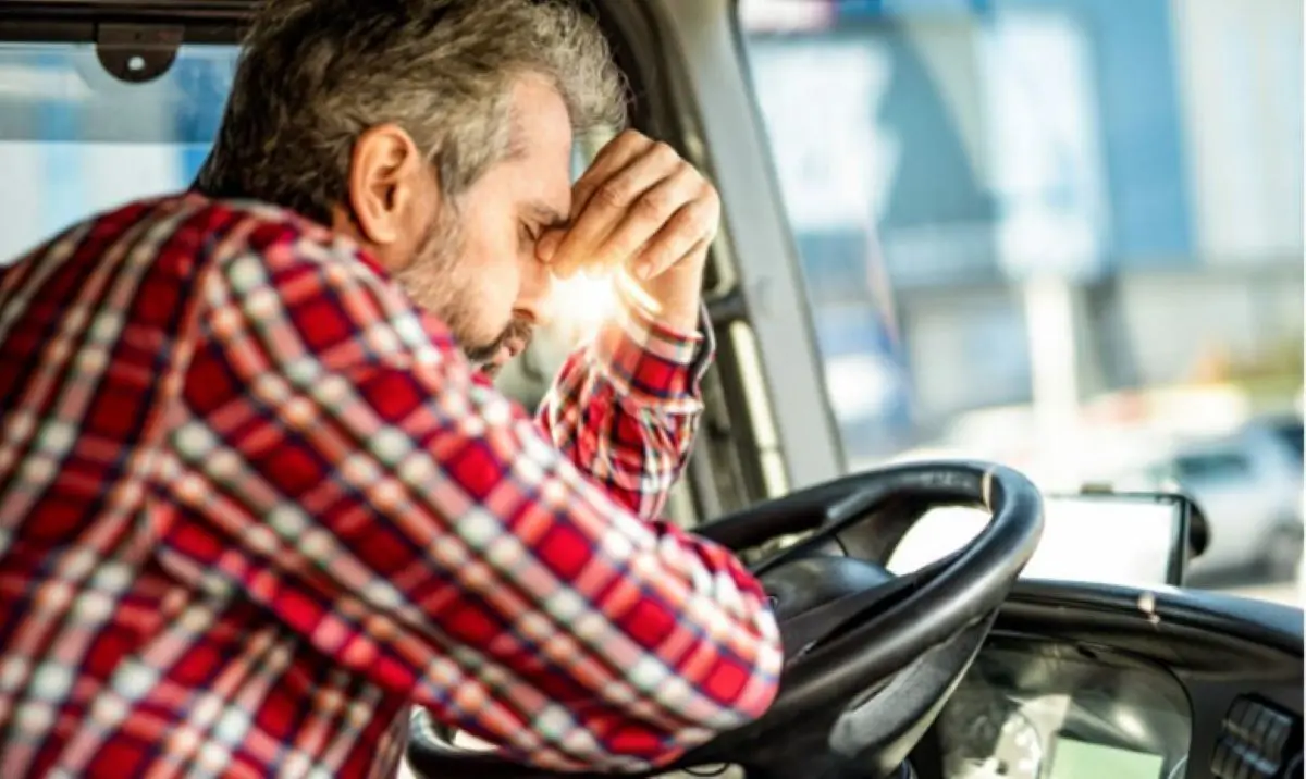 The Challenges Faced by Professional Drivers in the Transport Industry