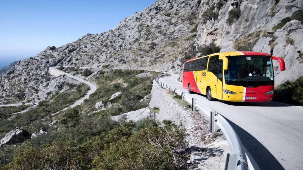 Improving Worker Standards in the TIB Transportation Companies