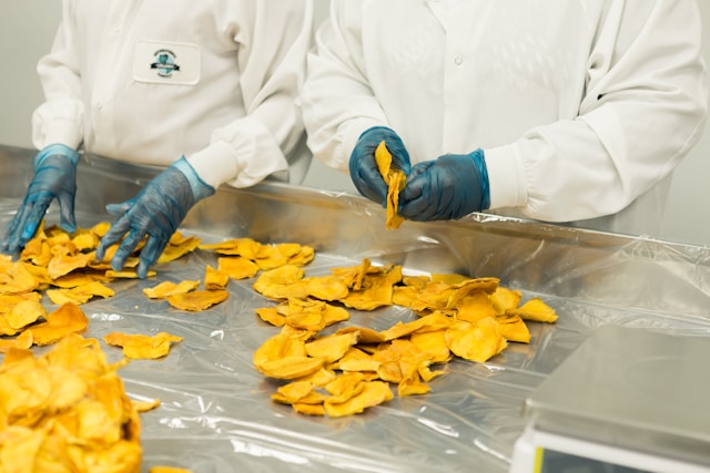 Food Manufacturing Fuels Growth in Philippine Industry for May