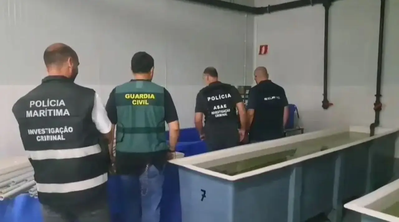 Captură semnificativă de scoici nesigure evidențiază pericolele pescuitului ilegal