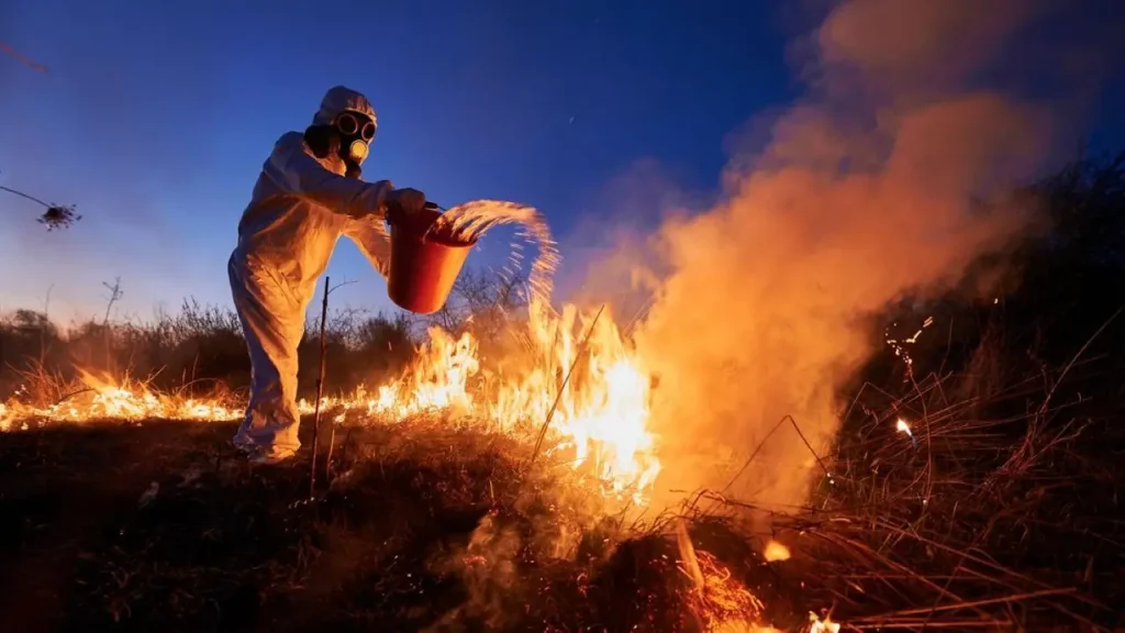 An Insight into the Working Conditions of Spain’s Forest Firefighters