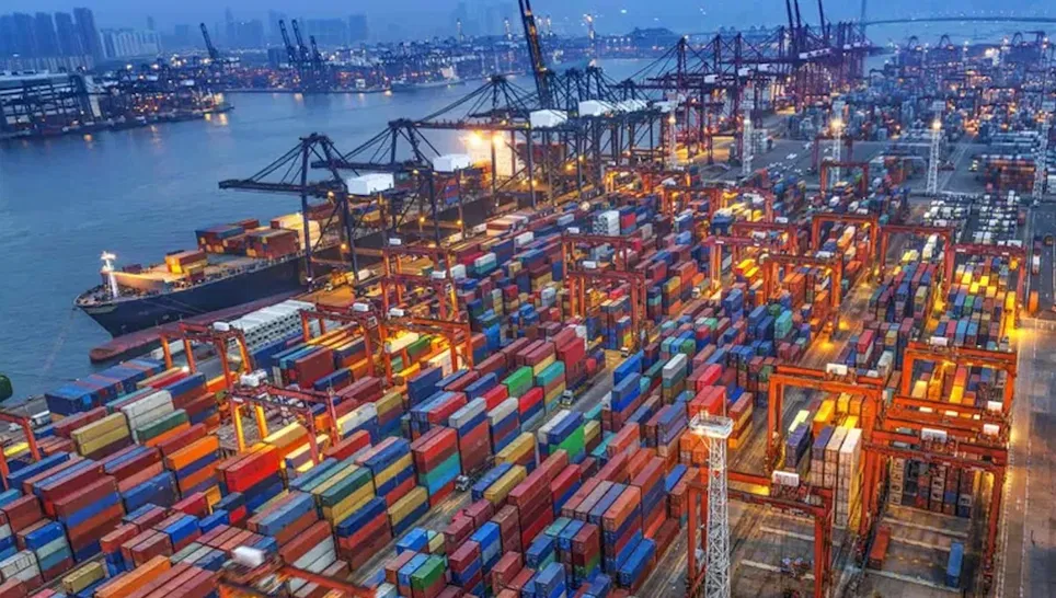Significant Decline Projected in Import Volumes for 2025