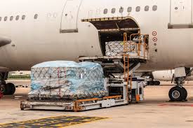 Cargo Demand Rises While Passenger Growth Slows in June According to IATA