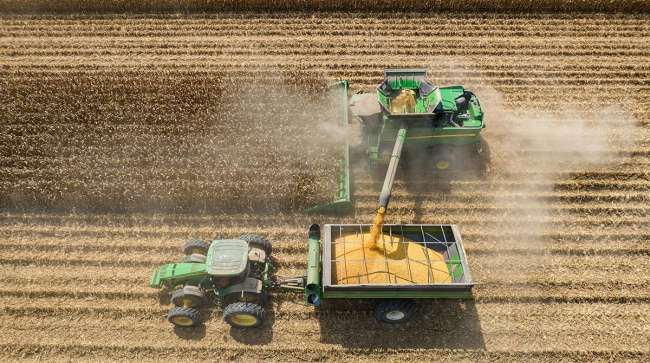 The Impact of Tariffs on Agricultural Profitability