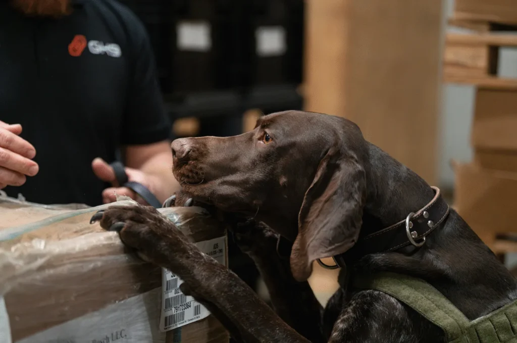 Global K9 Appointed as the Sole Cargo Screening Provider for WFS