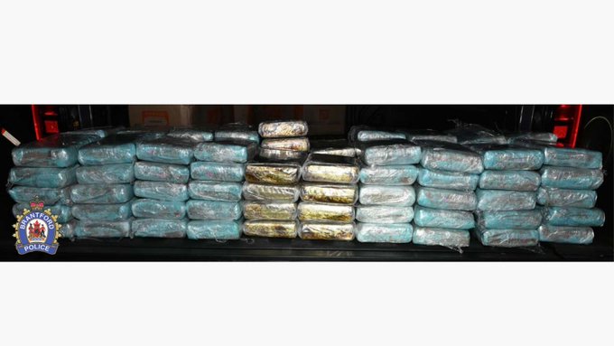 Major Transportation Risks Revealed by Brantford’s Cocaine Seizure