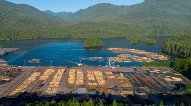 Canada Introduces Support Funds to Mitigate Rising U.S. Lumber Tariffs