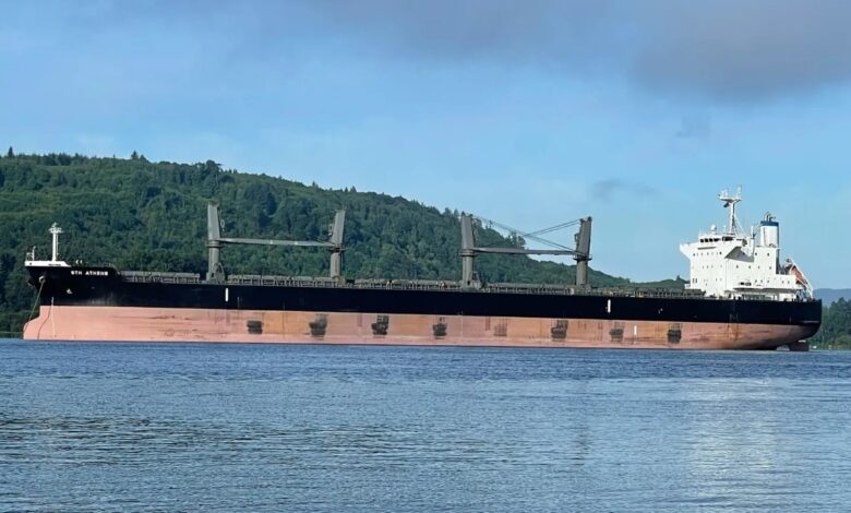 Diana Shipping Semnează un Nou Acord de Închiriere cu Cargill la o Rată Redusă