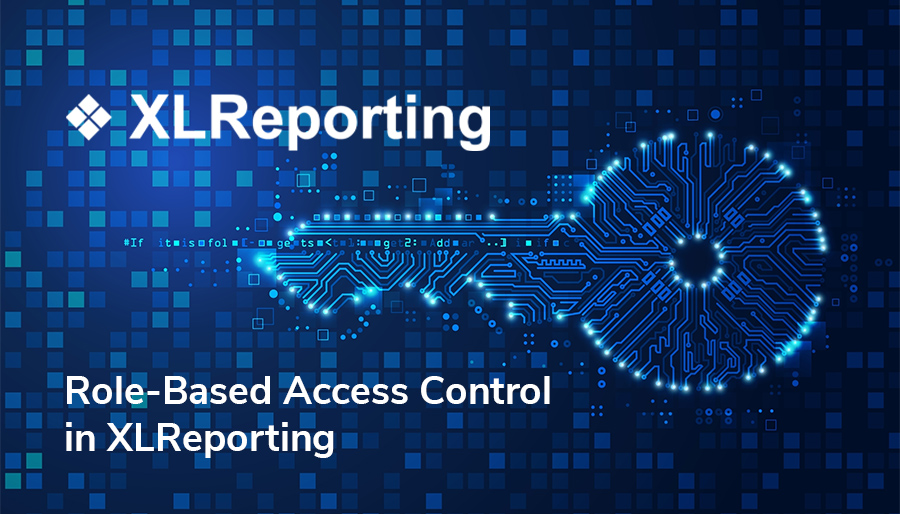 How XLReporting’s Role-Based Access Control Enhances Secure Financial Reporting and Logistics Management