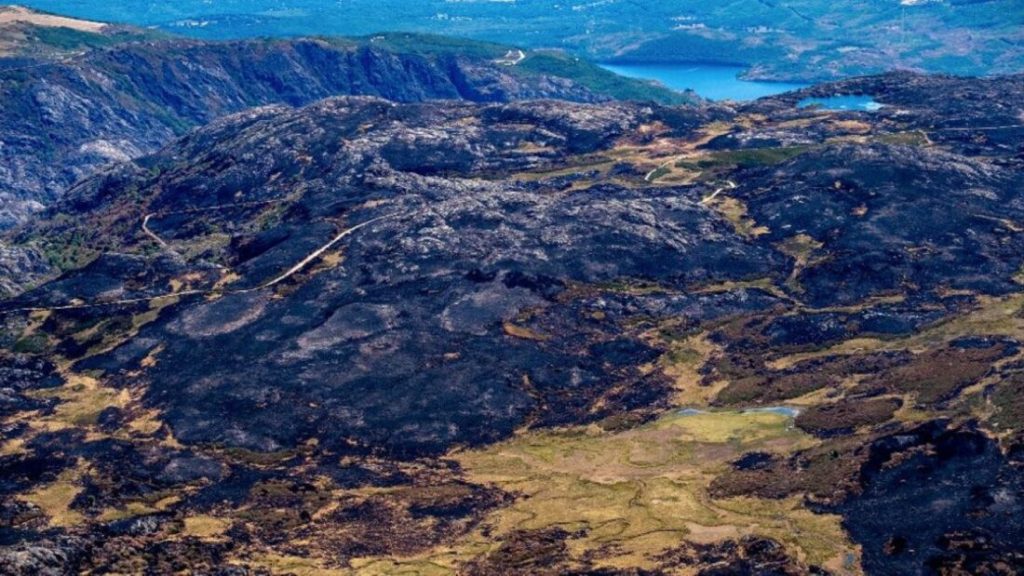 Extensive Wildfires in Ourense, León, and Zamora in 2025: A Closer Look at the Impact and Aftermath