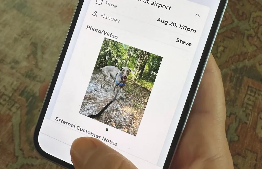 How CareTags IoT Innovations Are Transforming Real-Time Monitoring in Animal Transport