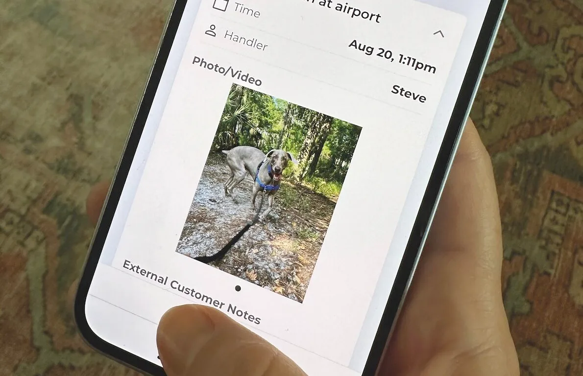 How CareTags IoT Innovations Are Transforming Real-Time Monitoring in Animal Transport