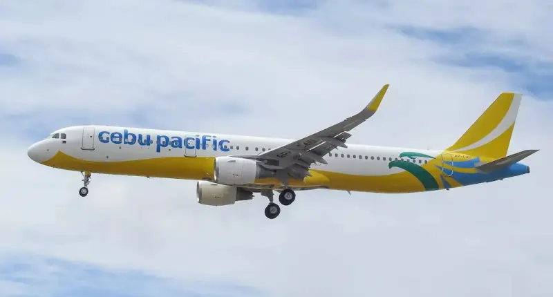 Insights into Cebu Pacific’s Passenger Volume in August 2025 and Its Logistics Implications