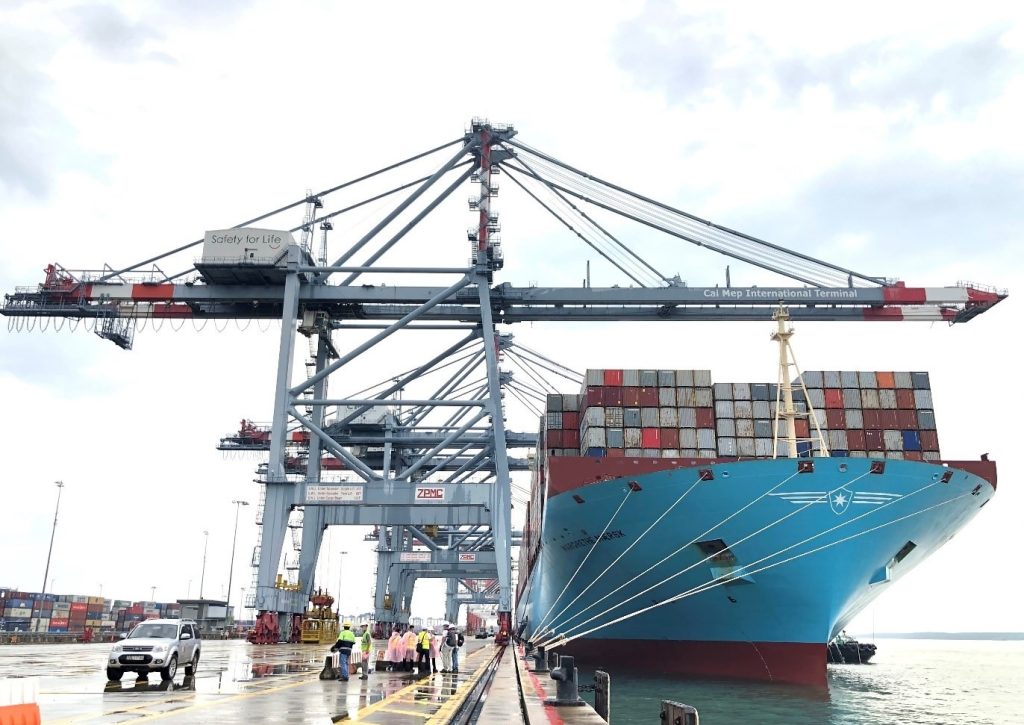 Why Ocean Freight Rates Are Stable Even as Shipping Volumes Drop and What It Means for Logistics