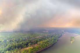 In-depth Look at Greenpeace’s Response to Partido Popular’s 2025 Wildfire Measures and What It Means for Future Crisis Management