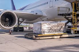 How Freighter Capacity Constraints Are Influencing the Future of Air Cargo Routing