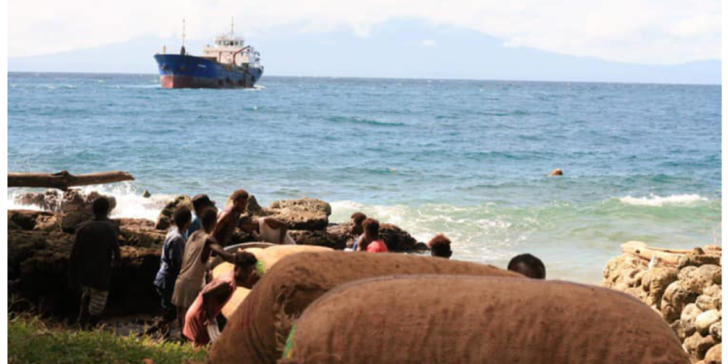 How Shipping Delays and Market Shifts Are Impacting Copra and Cocoa Farmers in Western Province