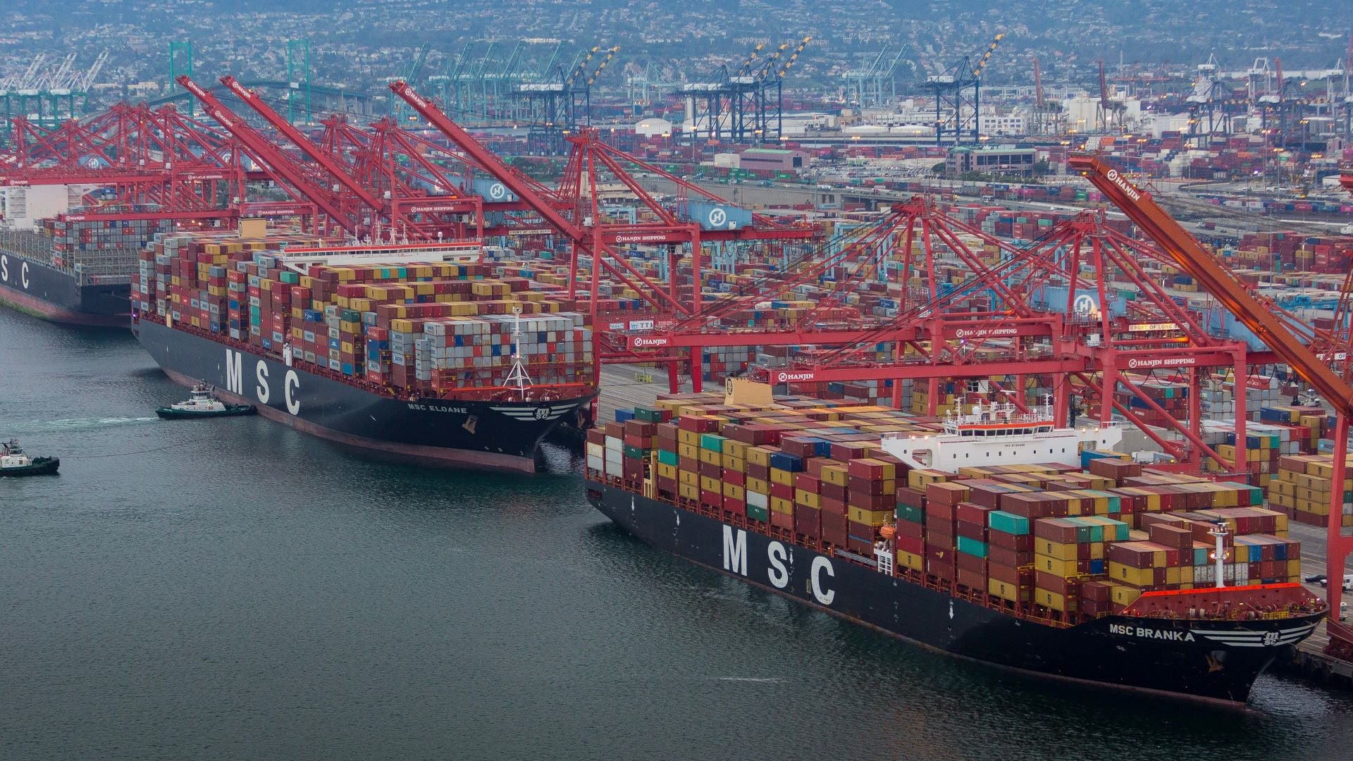 Container Shipping Sees Steep Profit Decline Amid Tariffs and Trade Shifts in Q2 2025