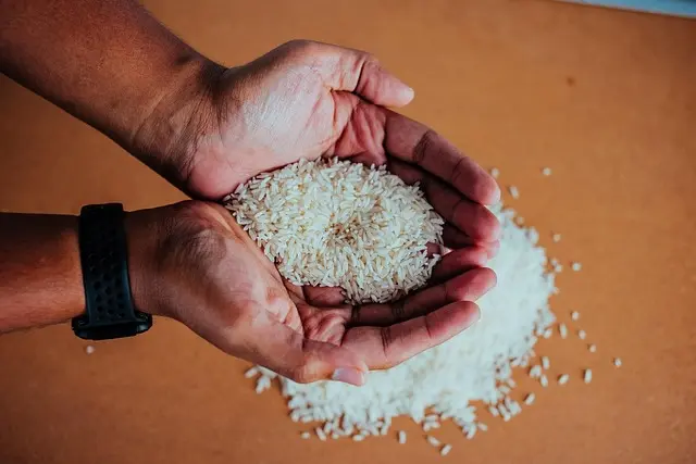 Philippines Initiates 60-Day Suspension on Regular Rice Imports to Support Local Farmers