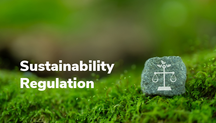 Navigating EU’s New Sustainability Regulations: Why Early Movers Gain an Edge in Business and Transport