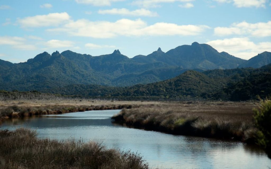 Understanding the Impact of The Warehouse Group’s Halt on Direct Shipping to Great Barrier Island and Its Logistics Implications