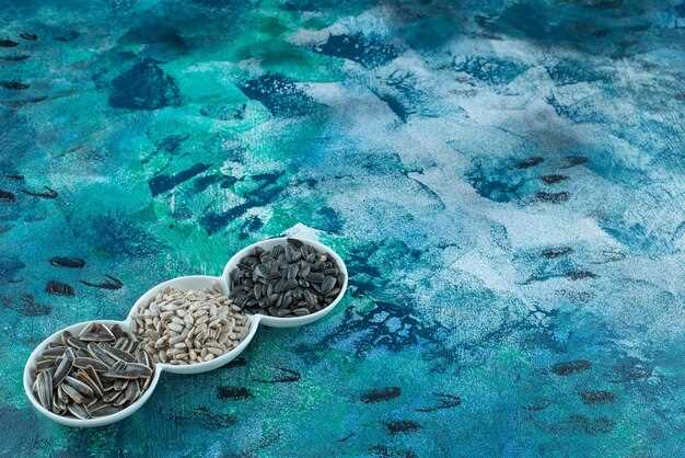 Blockchain-Driven Ocean-to-Table Traceability – How Bumble Bee Foods and SAP Track Fresh Fish