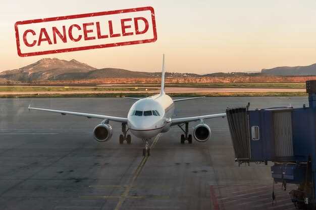 Boeing Crisis Escalates as 737 MAX Production Halts