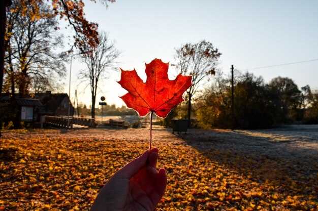 Canada Post’s New Offers Fall Short, Union Says as Review Continues