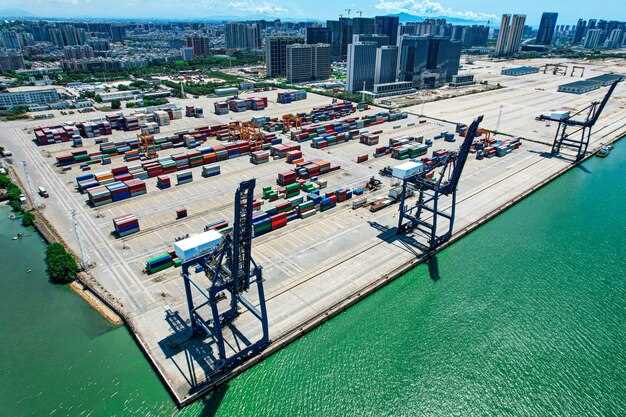 Case Study – Ports of Los Angeles and Long Beach, United States – US Port Logistics
