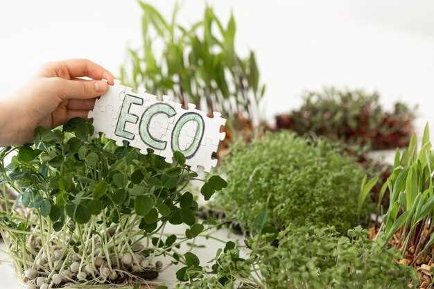 COP27 – Agri-Food Firms Pledge to Accelerate Climate Action