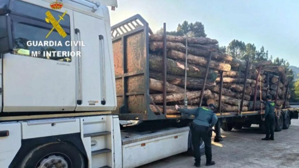 Truck Crashes After Stolen Timber Fleeing Incident in Fornelos de Montes, Pontevedra