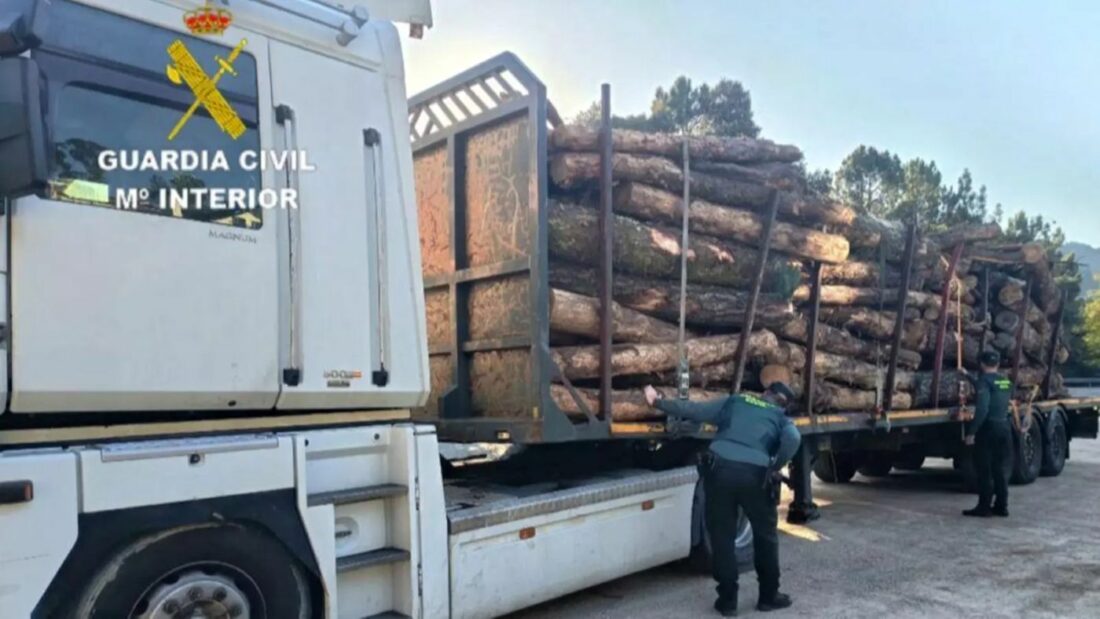 Truck Crashes After Stolen Timber Fleeing Incident in Fornelos de Montes, Pontevedra