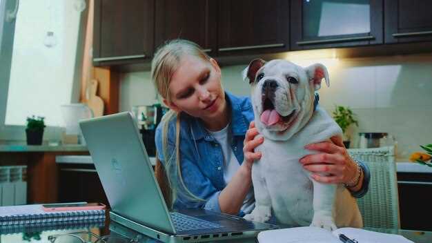 Pet Care E-Commerce Leaders – How Chewy, PetMed Express, and Others Compete