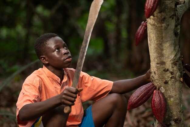 Rising Child Labor on West Africa Cocoa Farms Despite Efforts
