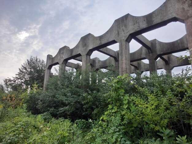 Shota Abkhazava – Building the Best Wagon-Building Plant, Not the Largest