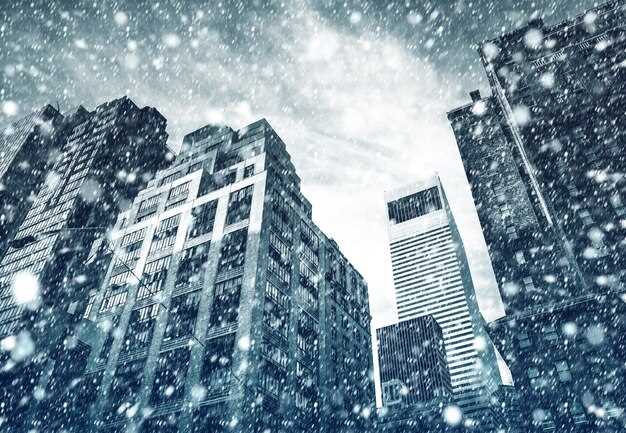 Speculative Cold-Climate Building – Development Trends and Strategies