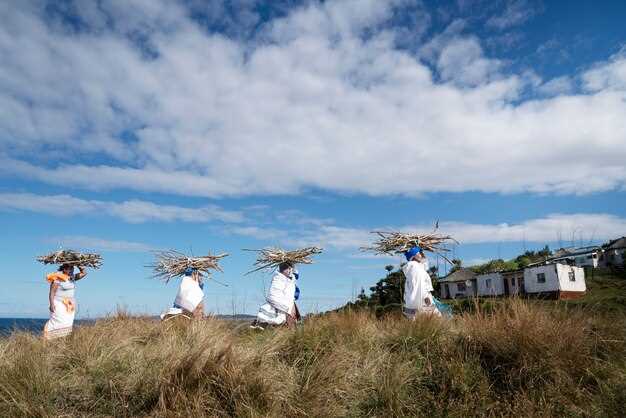 The Scandinavian Settlement – Origins, History, and Culture