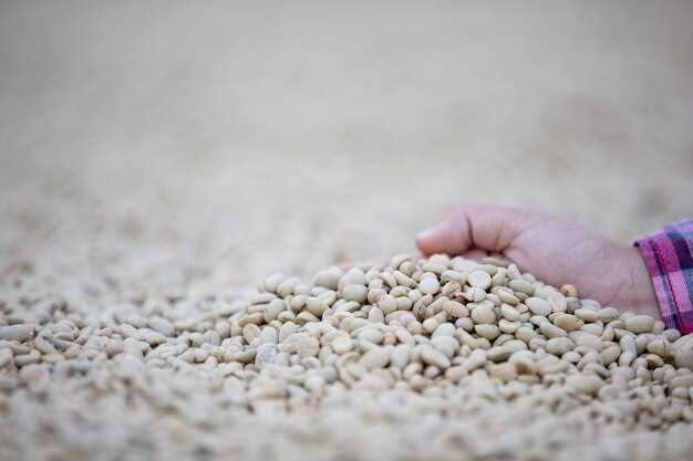 US Soybean Harvest Begins Without Chinese Buying as Brazil Sets Export Record