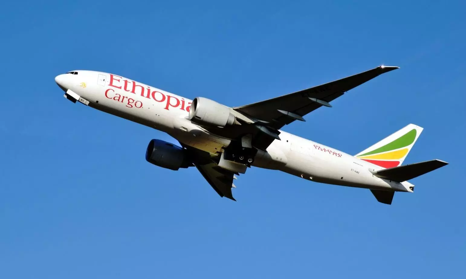 How Freightos and Megacap Aviation Enhance Digital Access to Cargo Capacity Across 13 Airlines