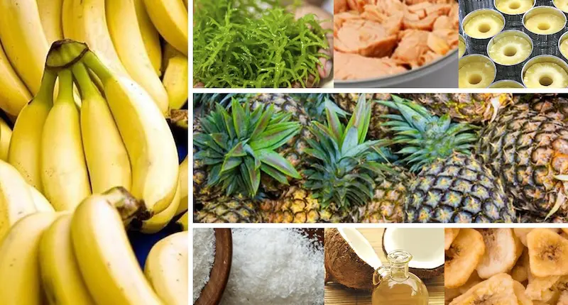 How US Tariff Exemptions Are Changing the Game for Philippine Agricultural Exporters and What It Means for Logistics