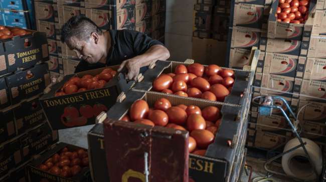 Trump’s Tariff Reductions on Essential Food Imports and Their Effect on Prices and Logistics