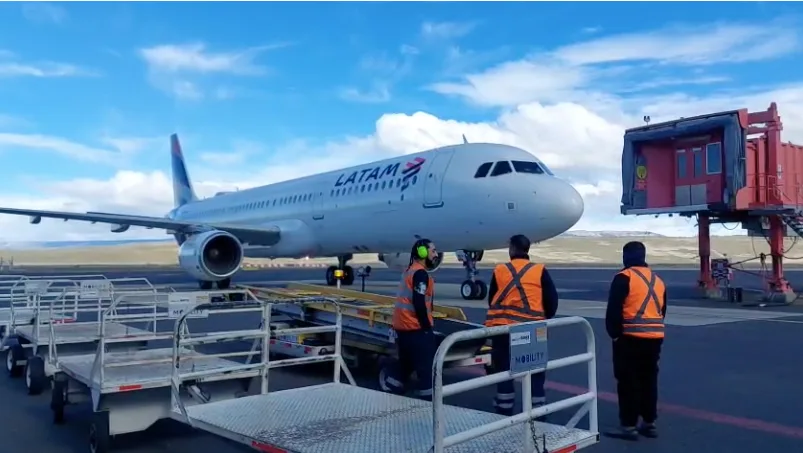 How LATAM’s Solidarity Plane Facilitated the Andean Condors’ Journey to Patagonia National Park