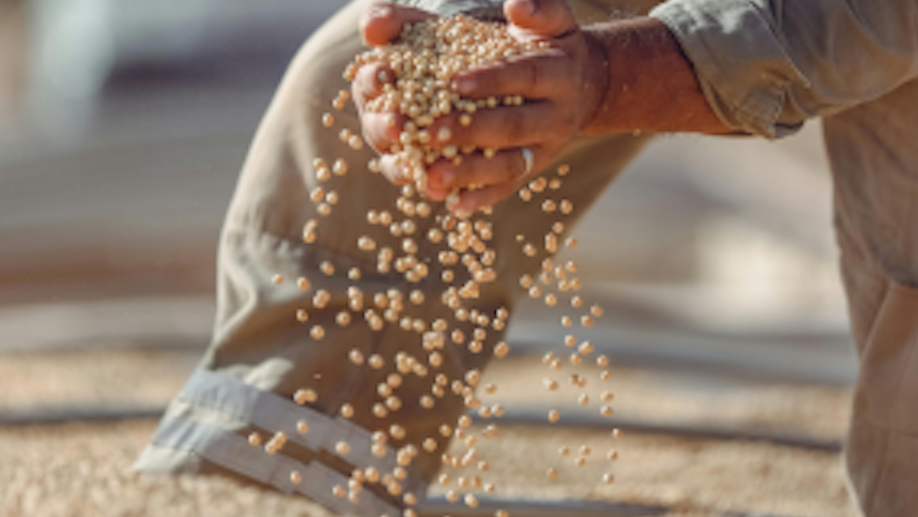 How U.S.-China Shipping Fees Affect Agricultural Exporters and American Maritime Competitiveness