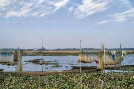 Assam’s Dorabeel Wetland Faces Mass Opposition Over Plans for Logistic Park Construction