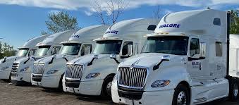 Walgre Transport Moves Forward with Fleet Restructuring and CCAA Safeguards Amid Market Challenges